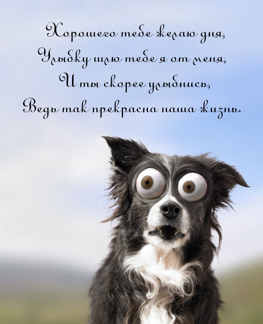 Хорошего тебе желаю дня, улыбку шлю тебе я от меня