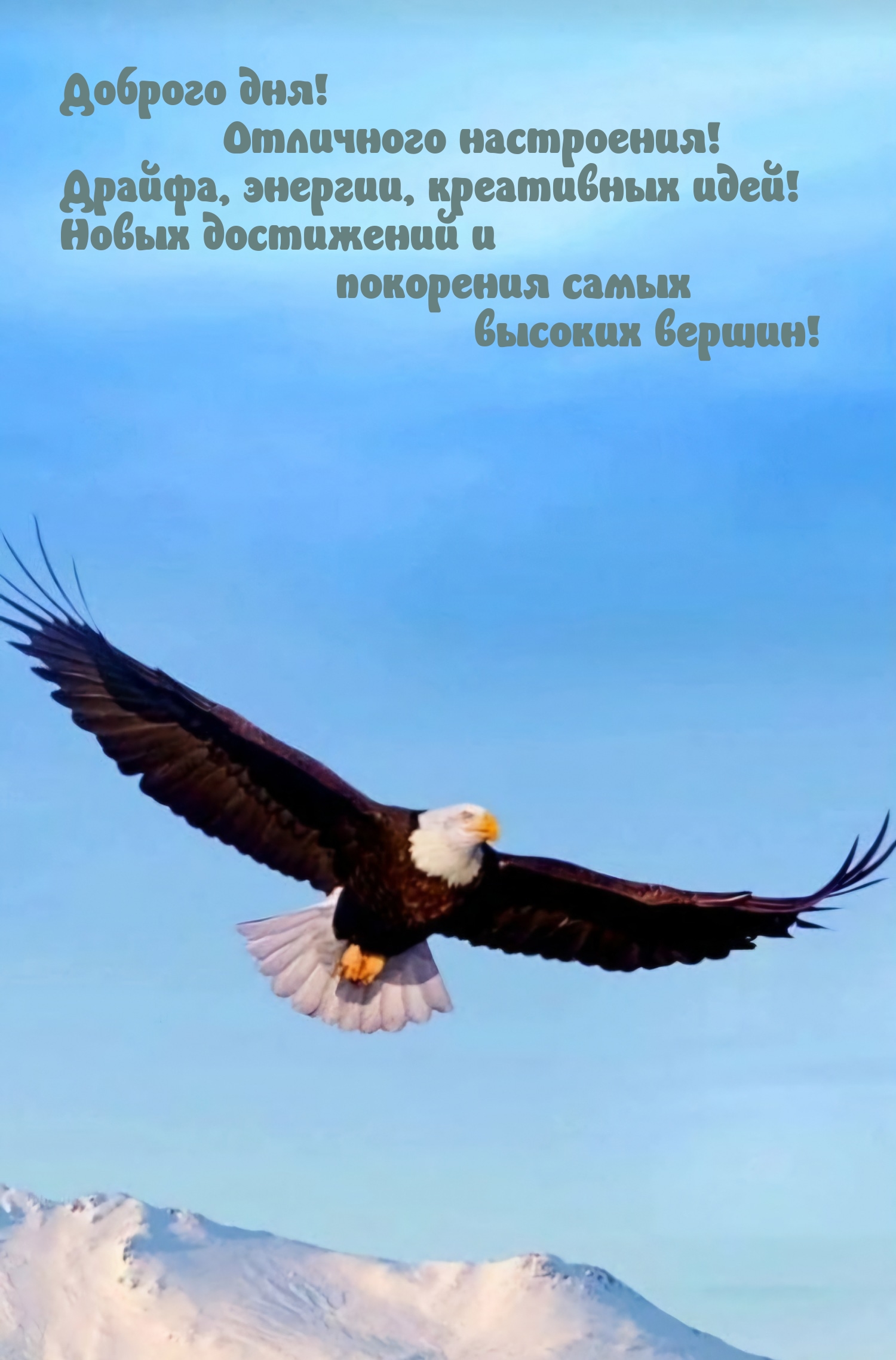 Доброго дня! Отличного настроения! Драйфа, энергии, креативных идей!