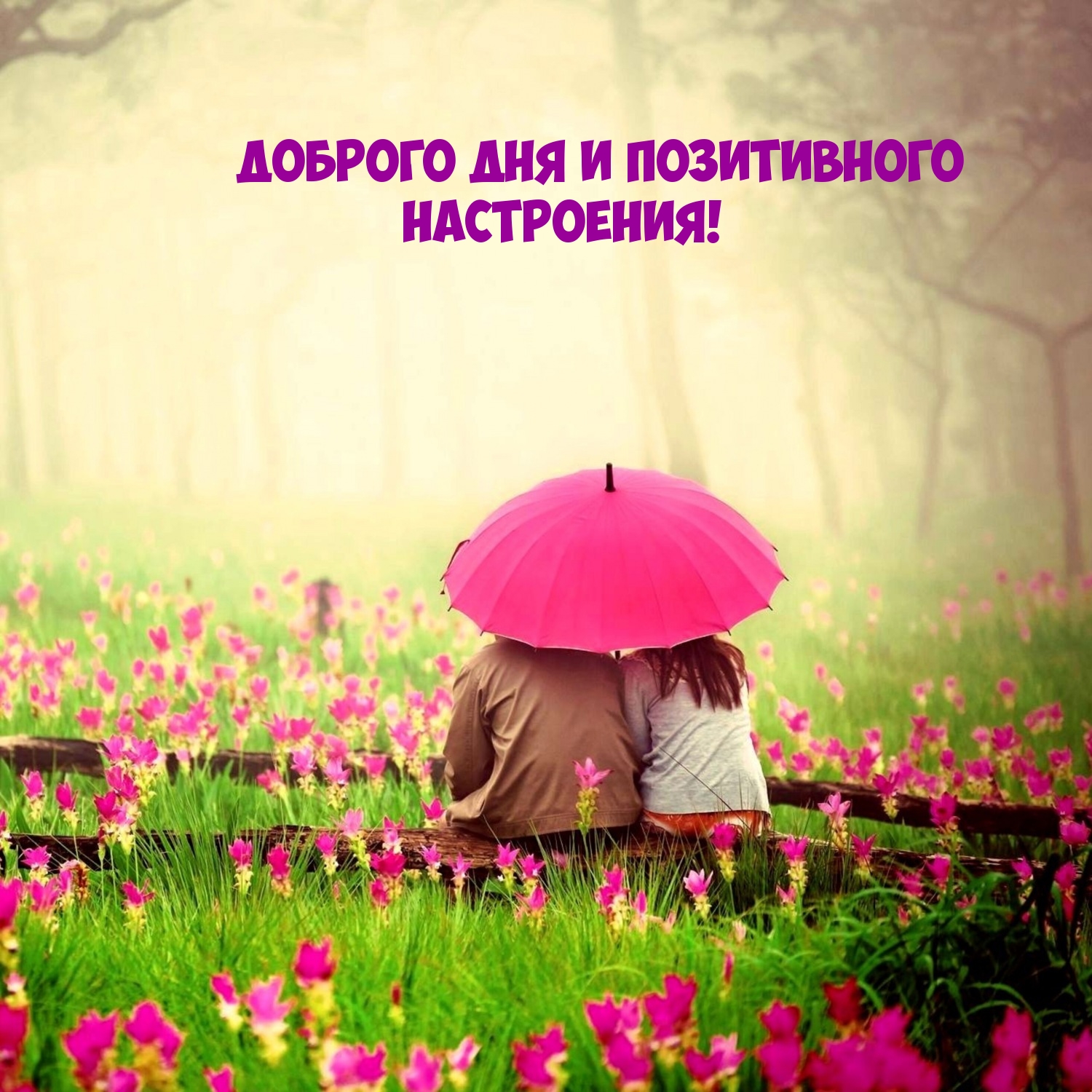 Доброго дня и позитивного настроения!