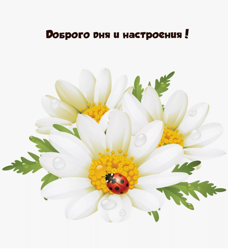 Доброго дня и настроения!