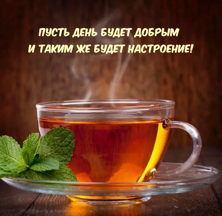 Пусть день будет добрым и таким же будет настроение!