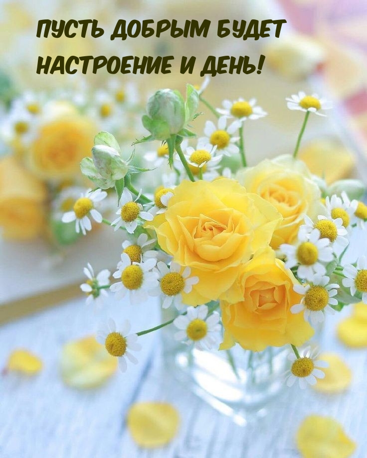 Пусть добрым будет настроение и день!