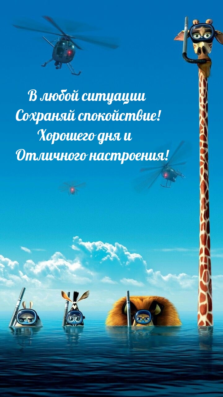 В любой ситуации сохраняй спокойствие! Хорошего дня 