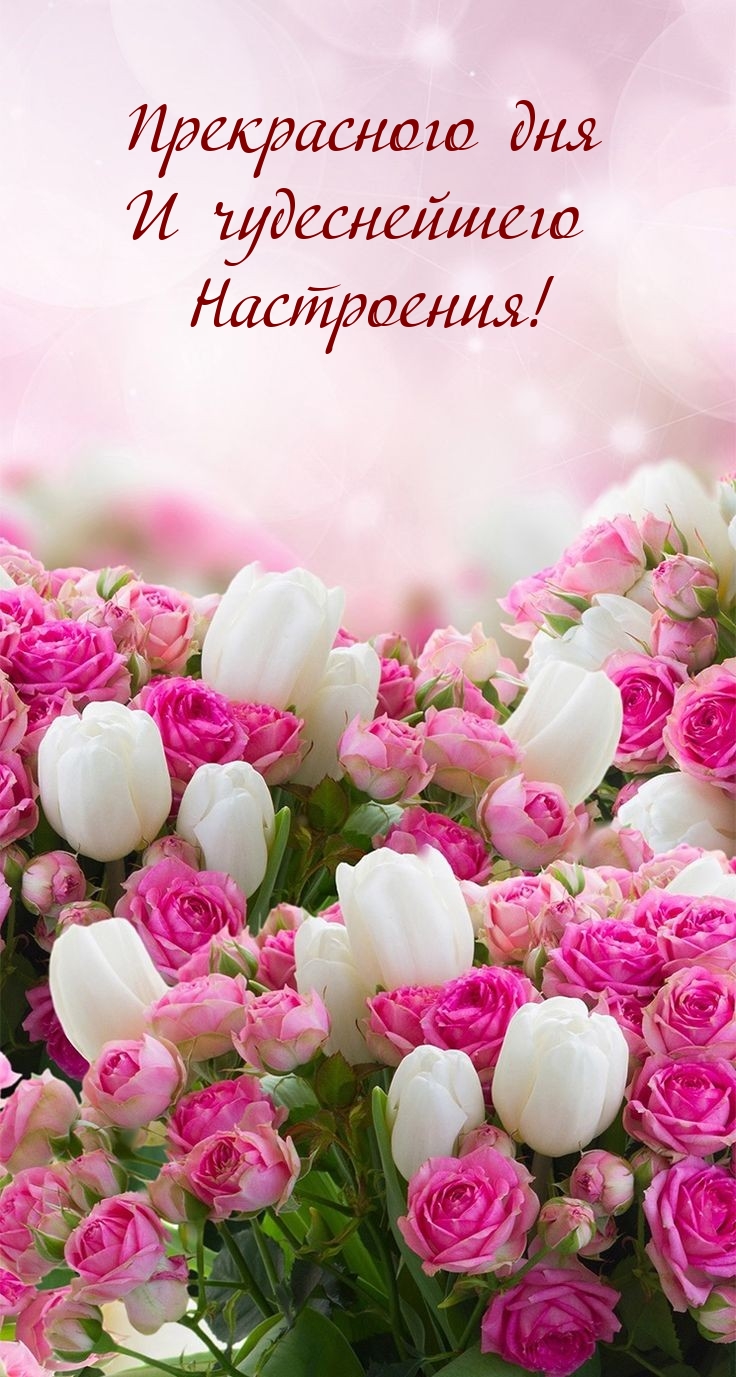 Прекрасного дня и чудеснейшего настроения!