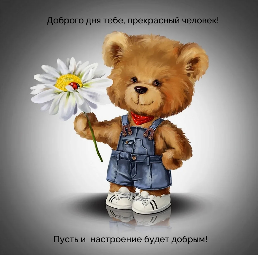 Доброго дня, прекрасный человек! Пусть и  настроение будет добрым! 