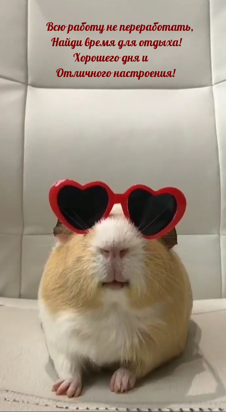 Всю работу не переработать, найди время для отдыха! Хорошего дня