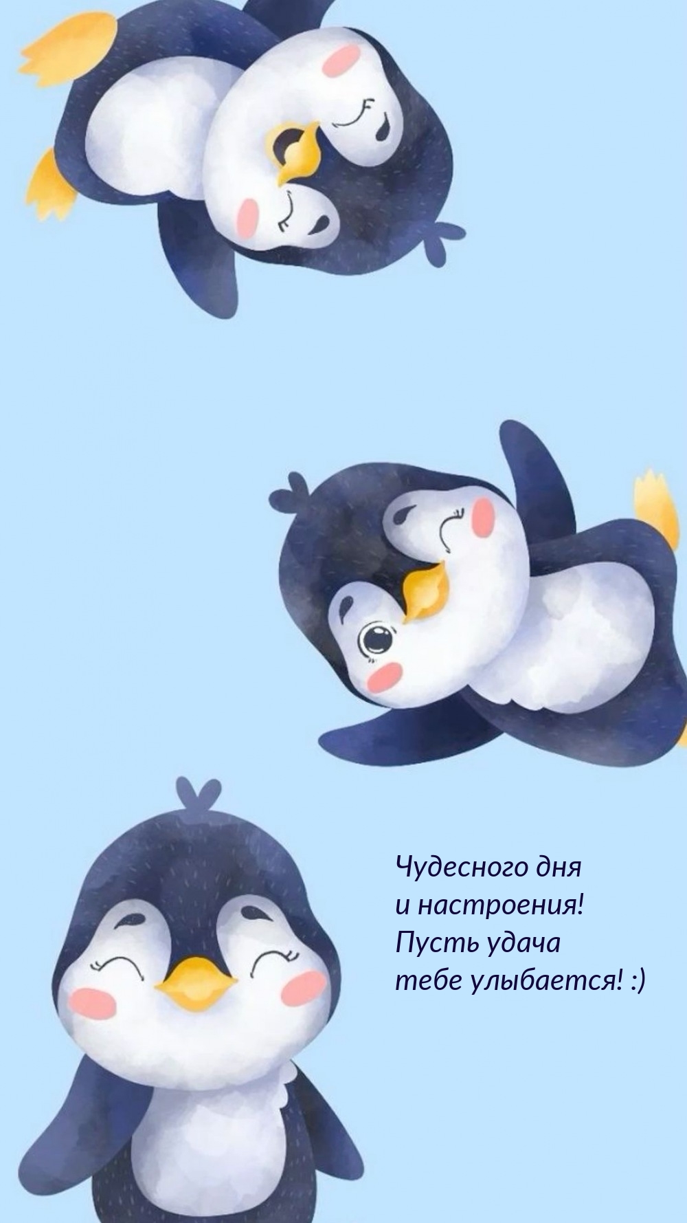 Чудесного дня и настроения! Пусть удача тебе улыбается! :)