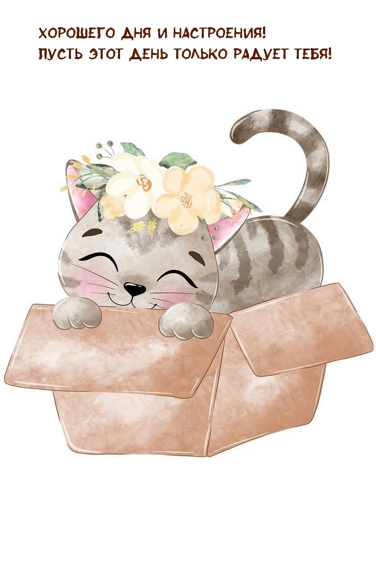 Хорошего дня и настроения! Пусть этот день только радует тебя!