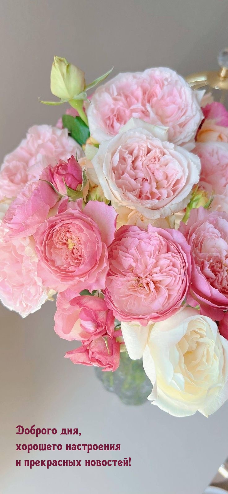 Доброго дня, хорошего настроения и прекрасных новостей!