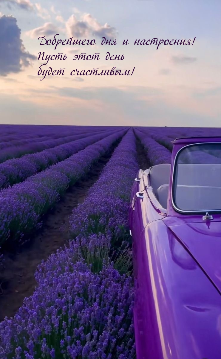 Добрейшего дня и настроения! Пусть этот день будет счастливым! 