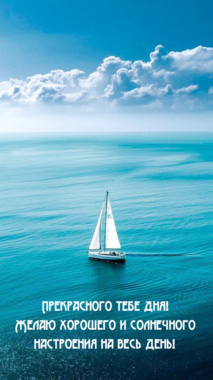 Прекрасного тебе дня! Желаю хорошего и солнечного настроения