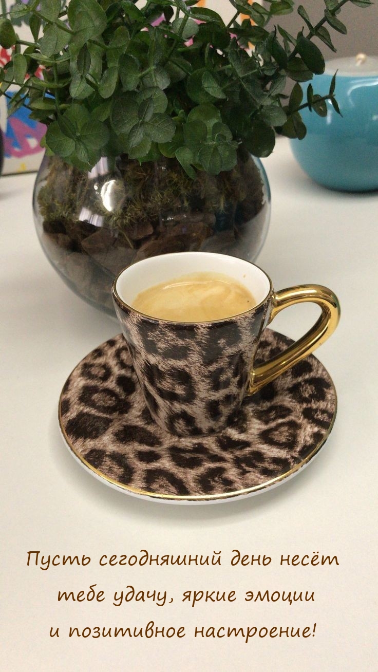 Пусть сегодняшний день несёт тебе удачу, яркие эмоции