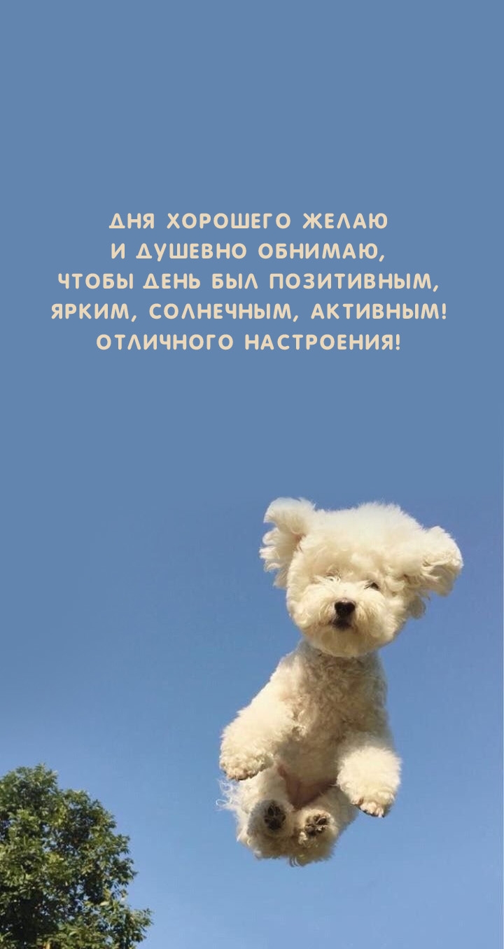 Дня хорошего желаю и душевно обнимаю, чтобы день был позитивным