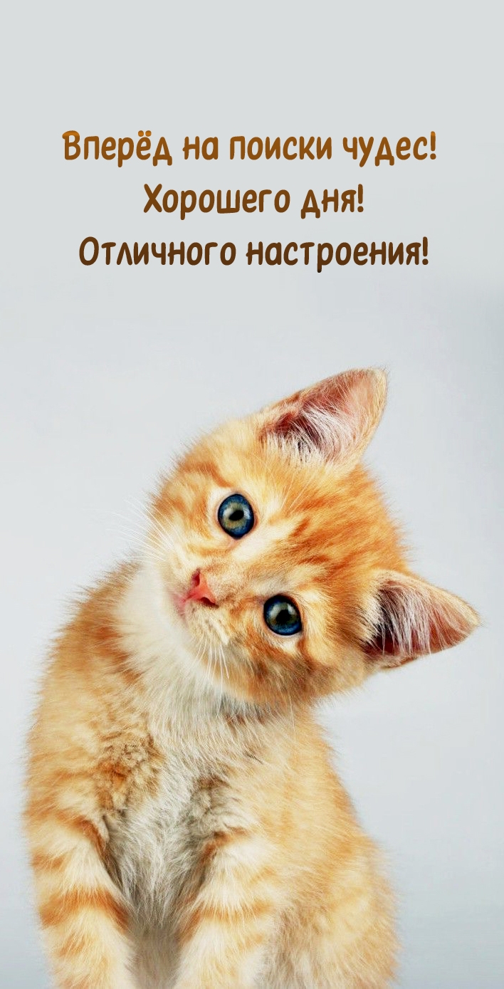 Вперёд на поиски чудес! Хорошего дня! Отличного настроения!