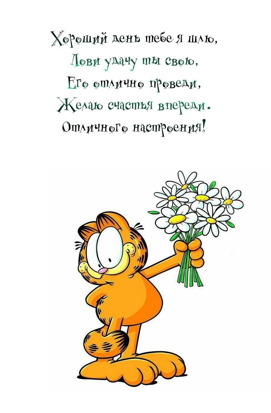 Хороший день тебе я шлю, лови удачу ты свою