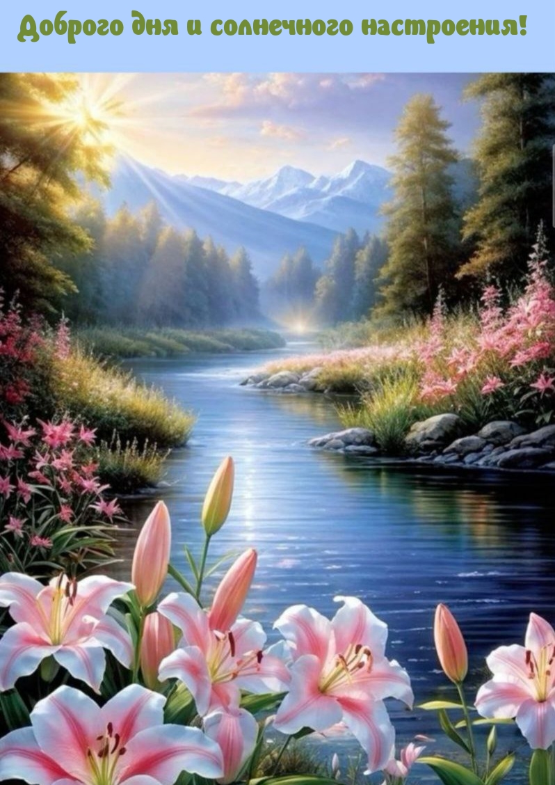 Доброго дня и солнечного настроения!
