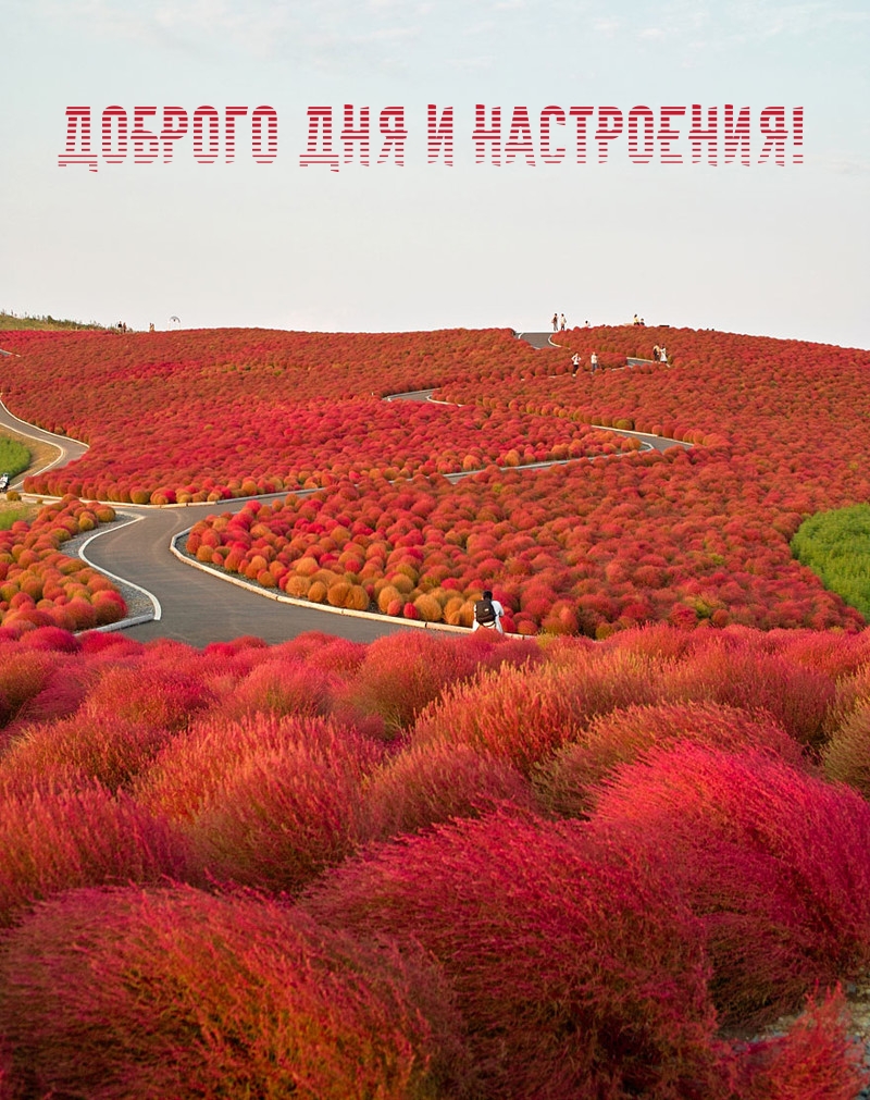 Доброго дня и настроения!