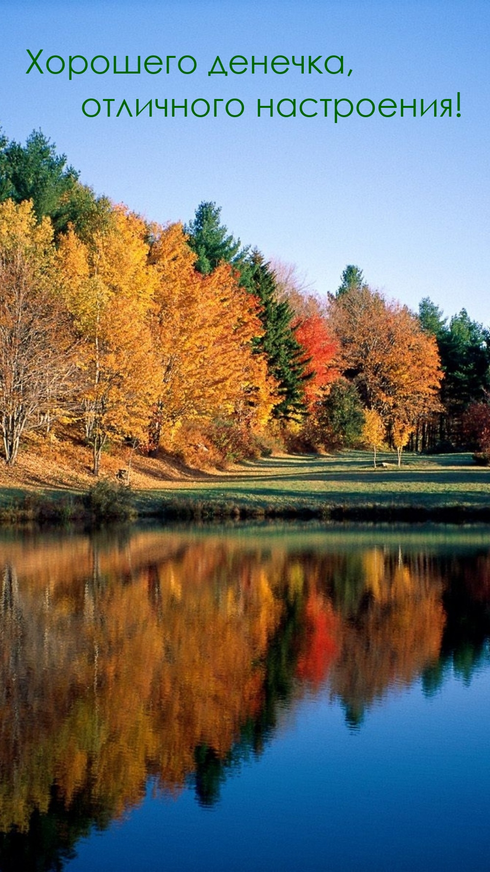 Хорошего денечка, отличного настроения!