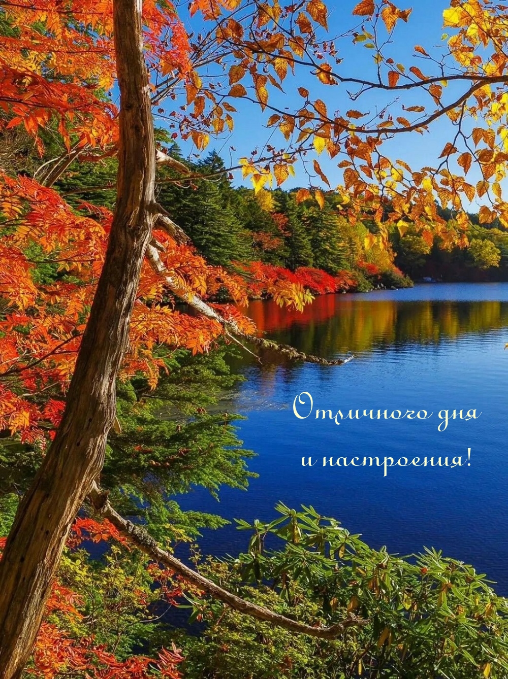 Отличного дня и настроения!