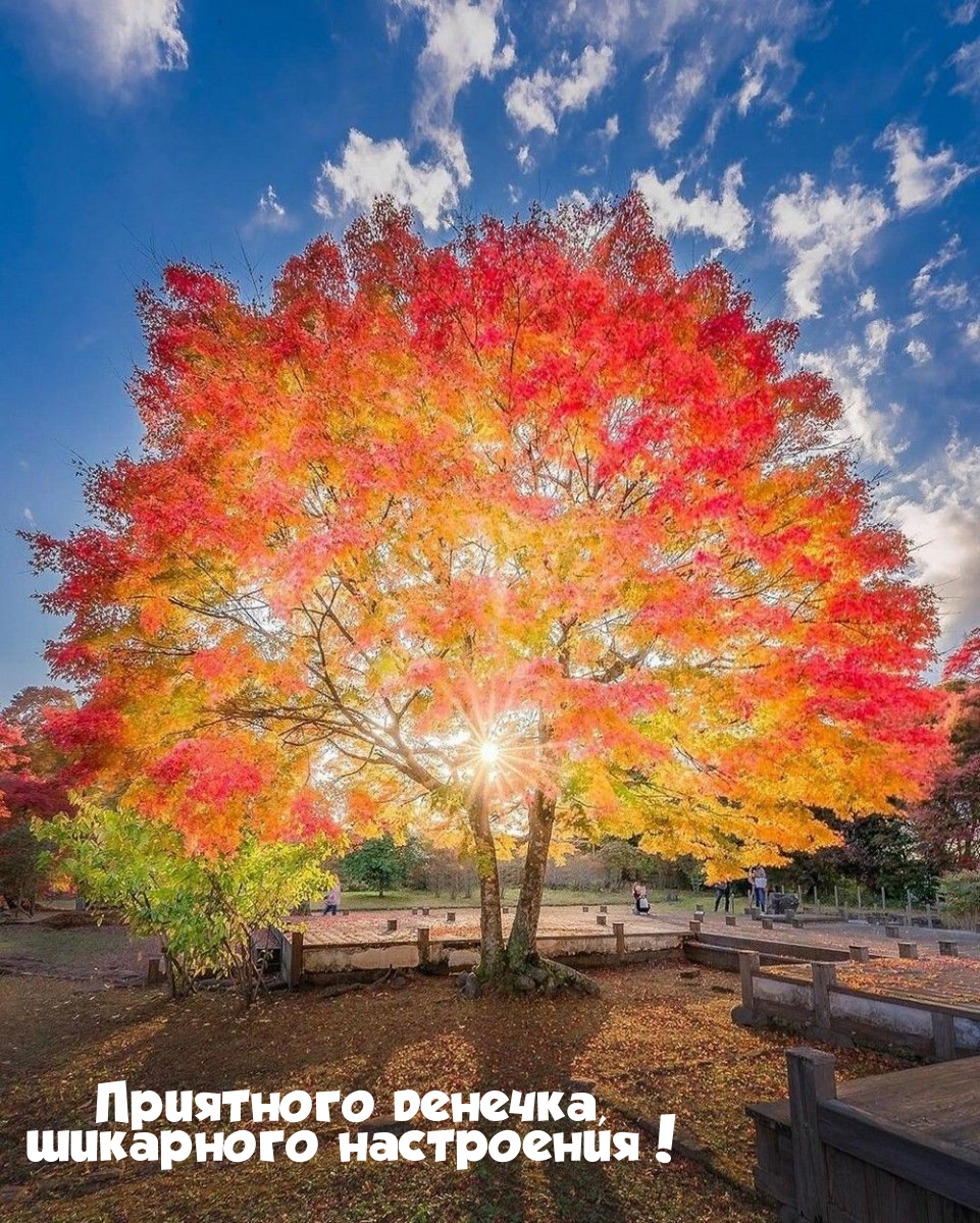 Приятного денечка, шикарного настроения!