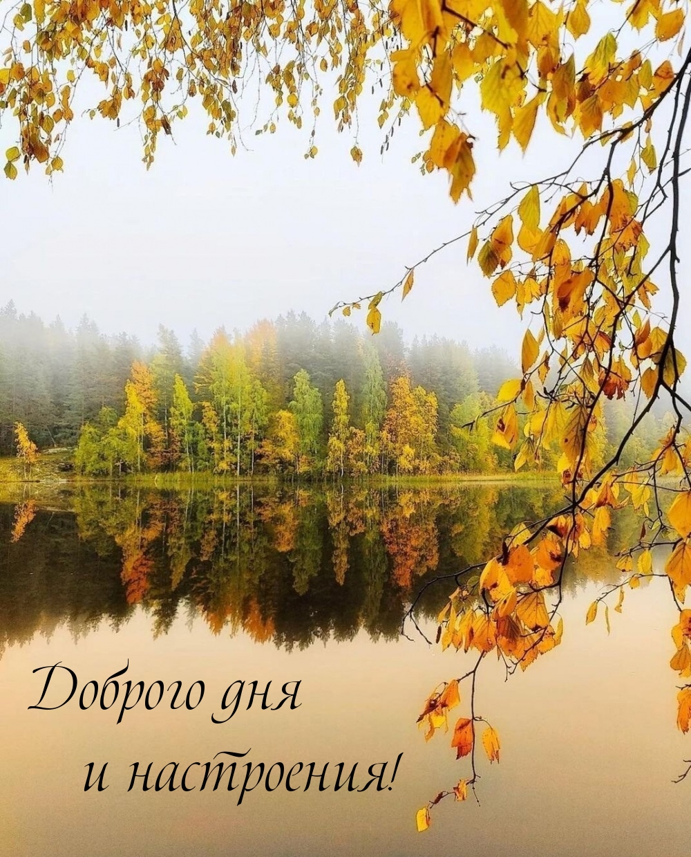 Доброго дня и настроения!