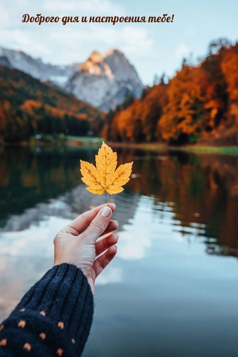 Доброго дня и настроения тебе!