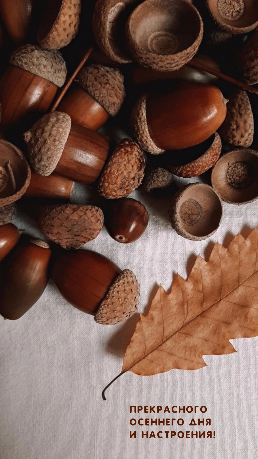 Прекрасного осеннего дня и настроения!