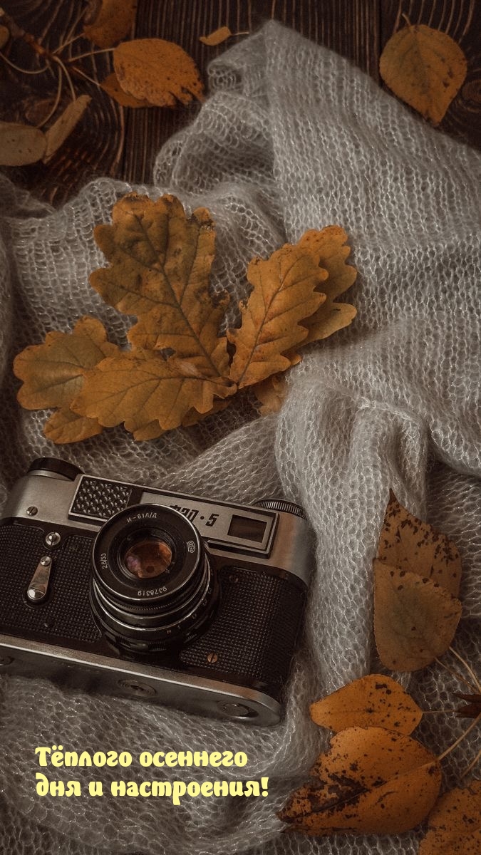 Тёплого осеннего дня и настроения!