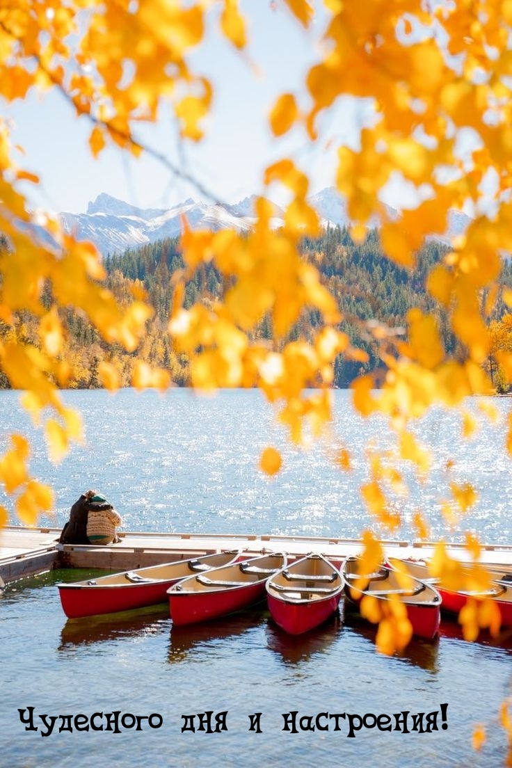 Чудесного дня и настроения!
