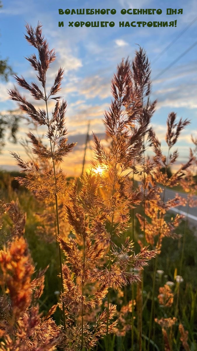 Волшебного осеннего дня и хорошего настроения!