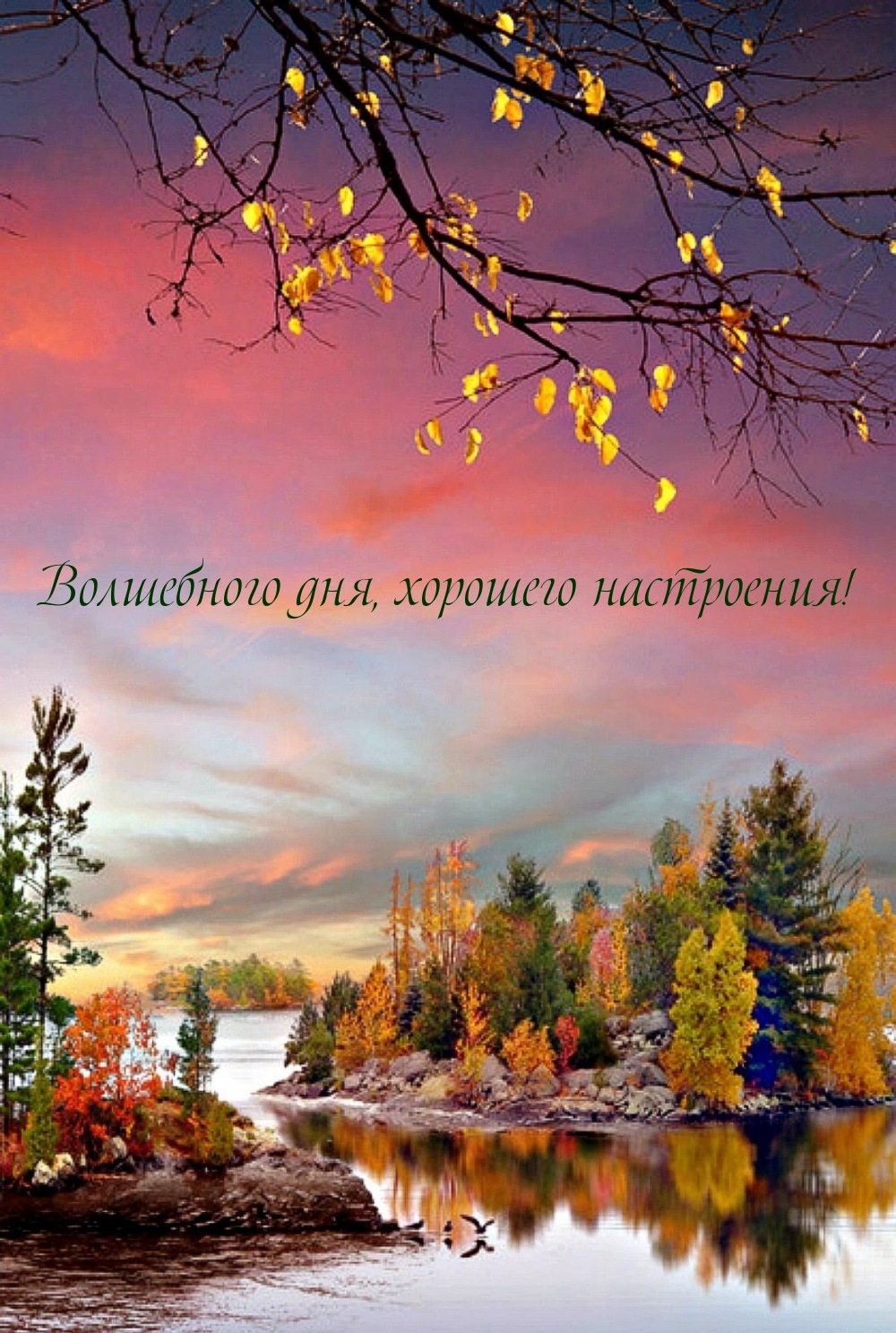 Волшебного дня, хорошего настроения!