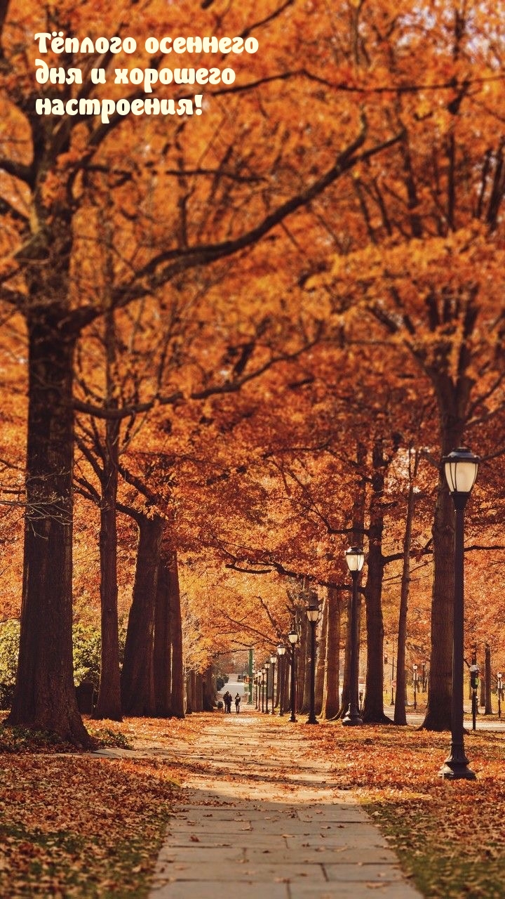Тёплого осеннего дня и хорошего настроения!