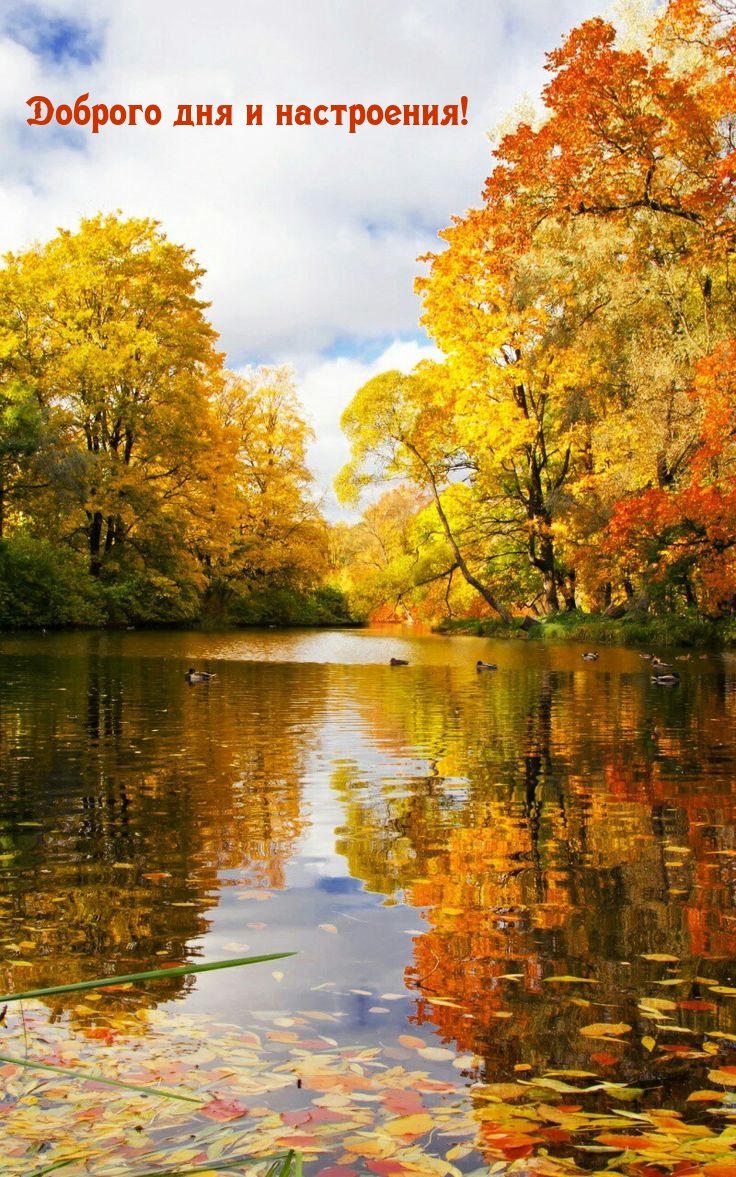 Доброго дня и настроения!