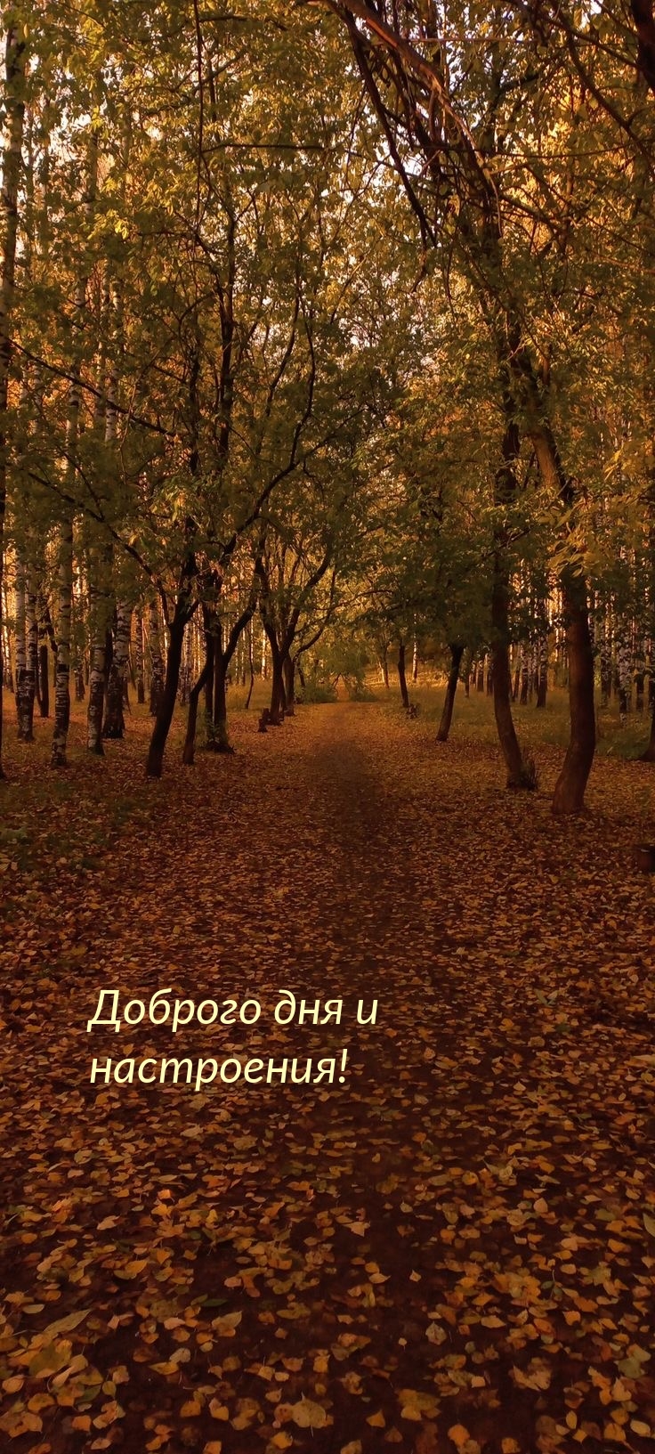 Доброго дня и настроения!