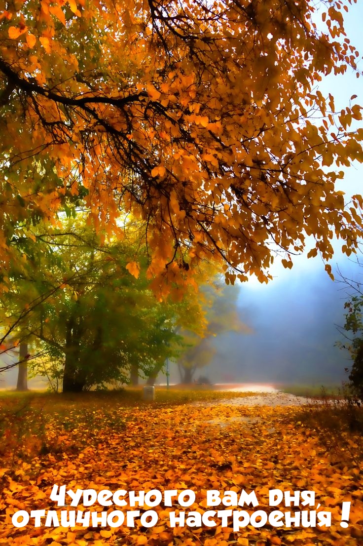 Чудесного вам дня, отличного настроения!