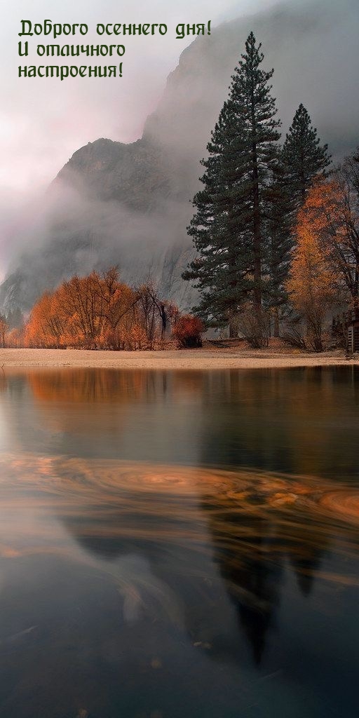 Доброго осеннего дня! И отличного настроения!