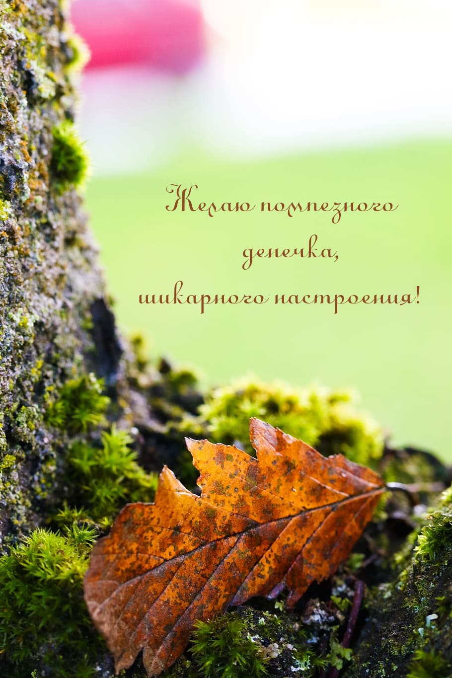 Желаю помпезного денечка, шикарного настроения!