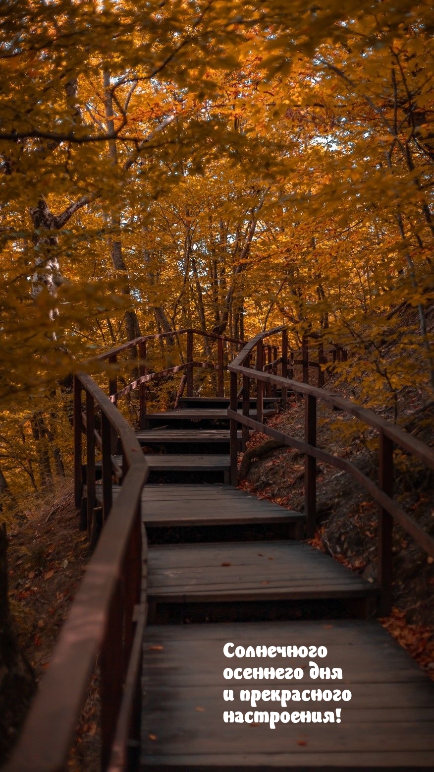 Солнечного осеннего дня и прекрасного настроения!