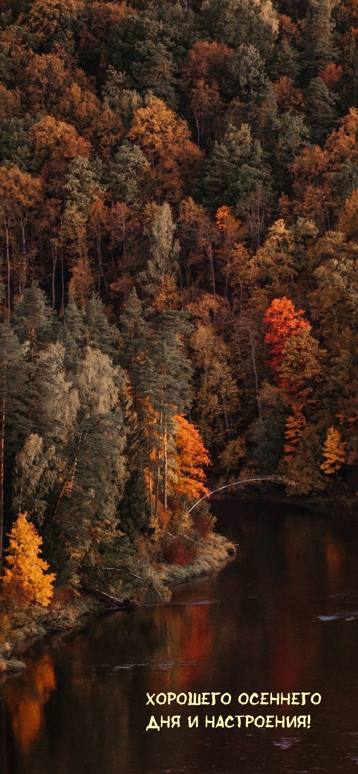 Хорошего осеннего дня и настроения!