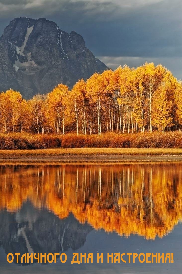 Отличного дня и настроения!