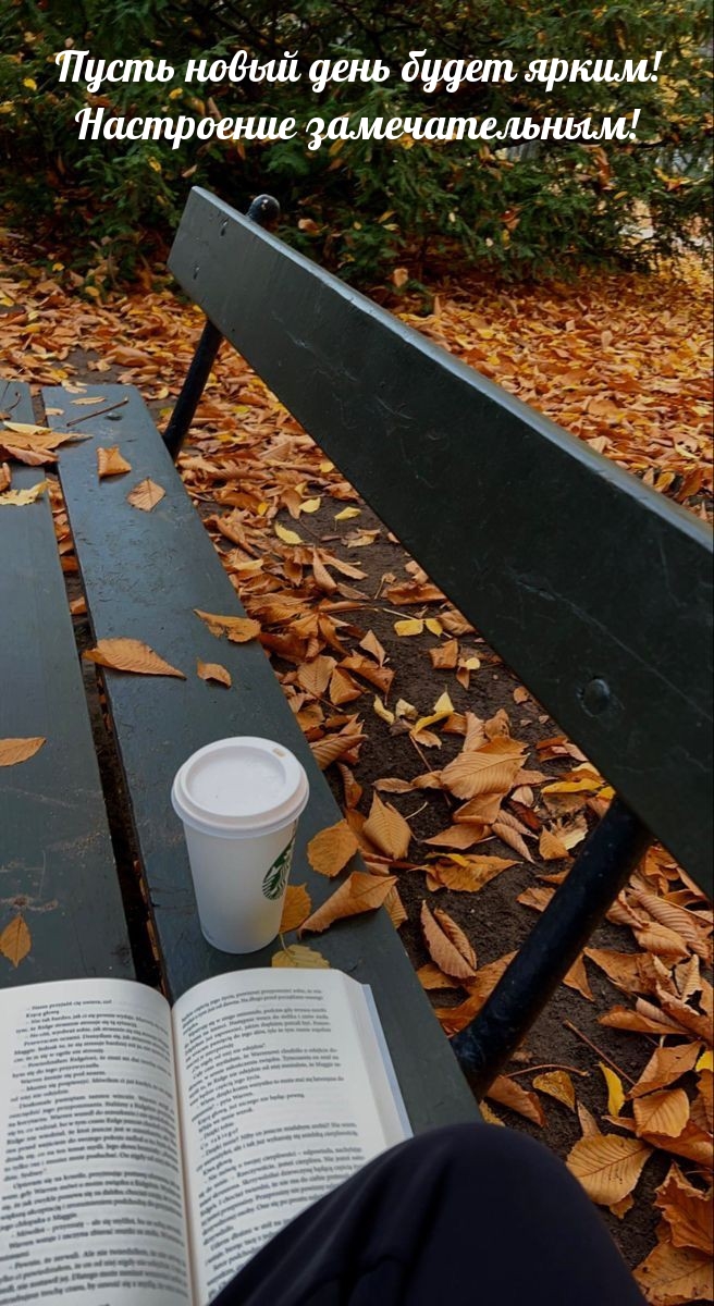 Пусть новый день будет ярким! Настроение замечательным!