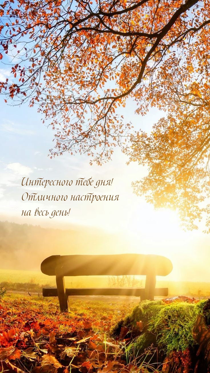 Интересного тебе дня! Отличного настроения на весь день!