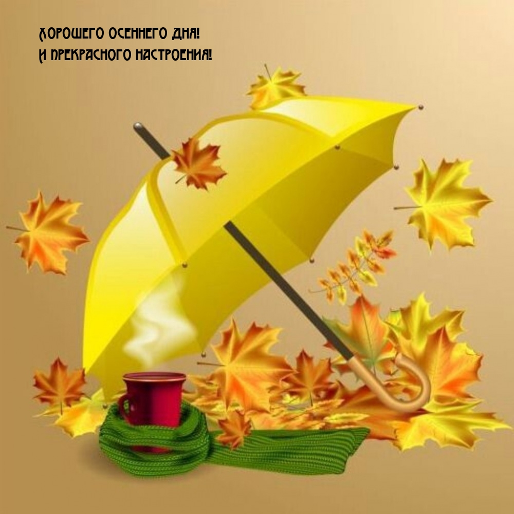 Хорошего осеннего дня! И прекрасного настроения!