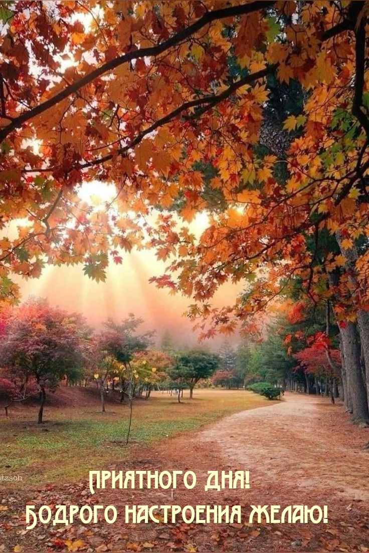 Приятного дня! Бодрого настроения желаю!