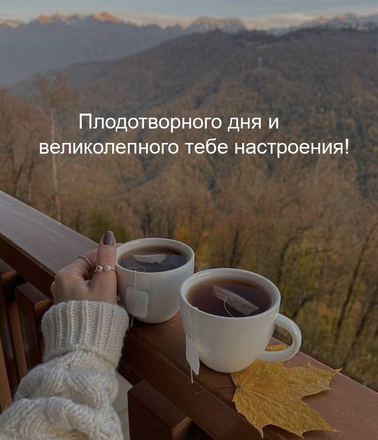 Плодотворного дня и великолепного тебе настроения!