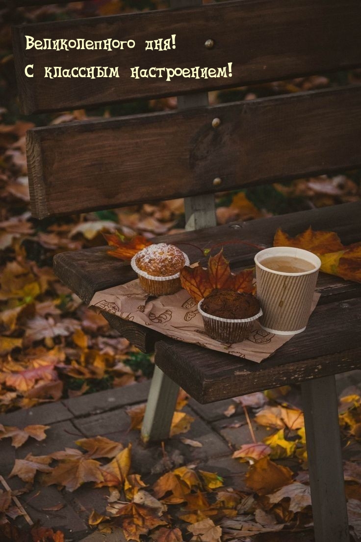 Великолепного дня! С классным настроением!