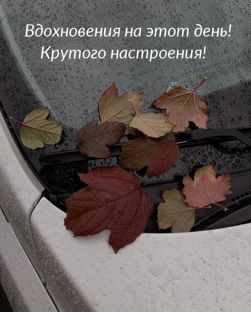 Вдохновения на этот день! Крутого настроения!