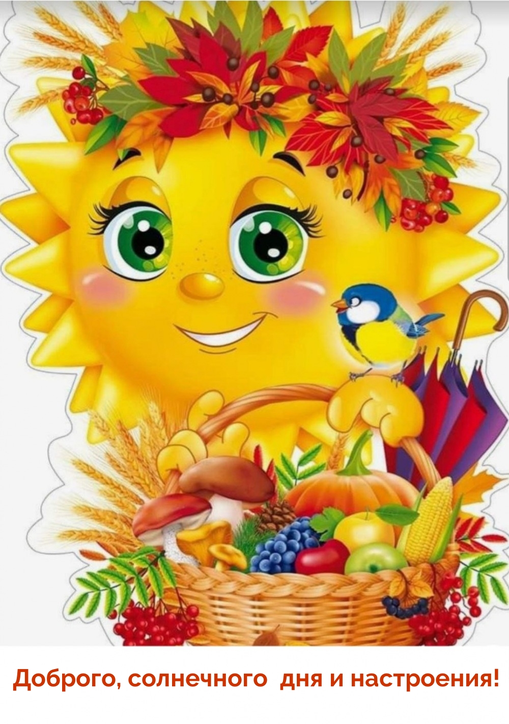 Доброго, солнечного дня и настроения!