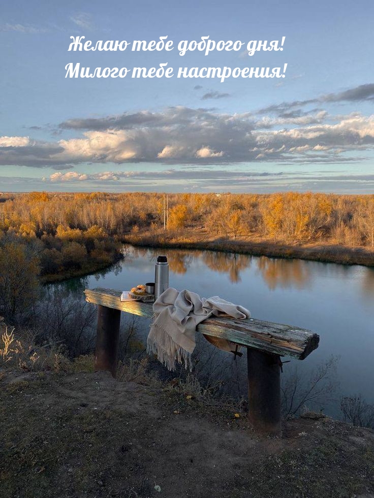 Желаю тебе доброго дня! Милого тебе настроения!