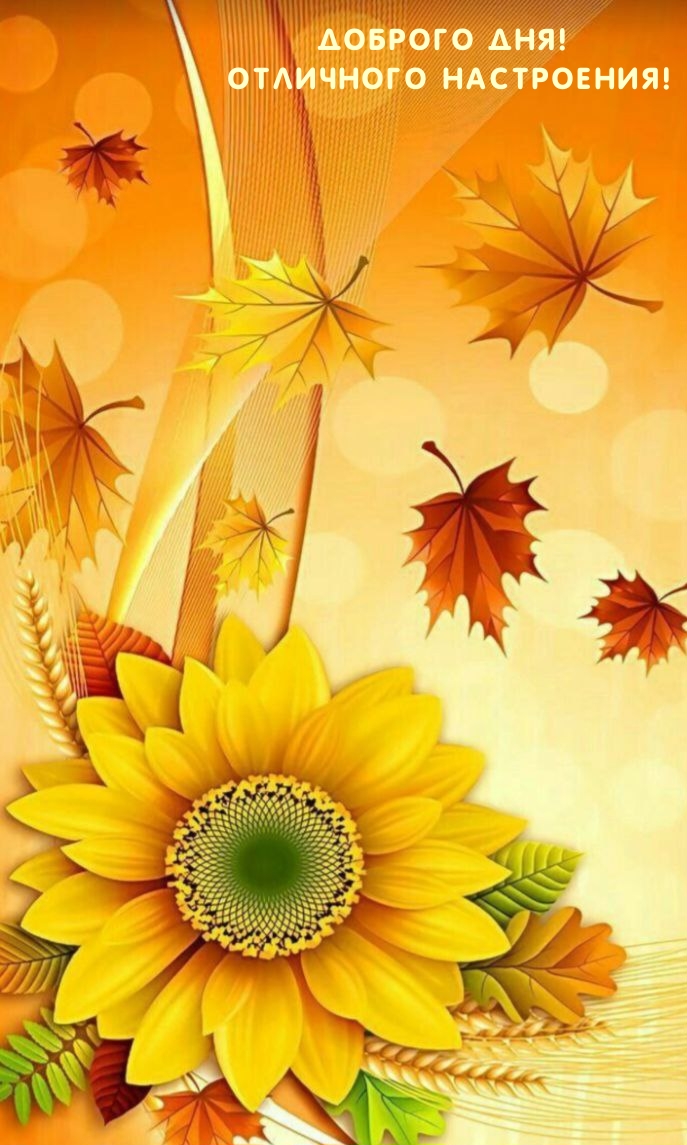 Доброго дня! Отличного настроения!